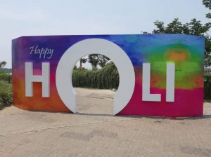 holi-party-decorators-gurgaon-sector59-2021-7