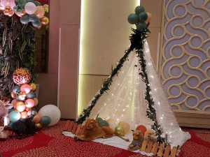 jundle-safari-theme-birthday-party-decoration-1jan2021-8