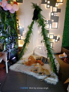 safari-theme-birthday-party-decorators-ghaziabad-1jan2021-v1